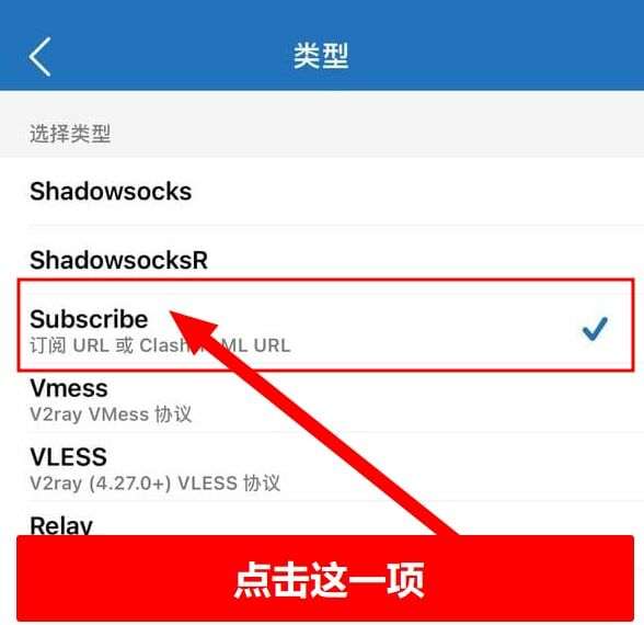 Shadowrocket 订阅导入操作流程：粘贴链接与选择 Subscribe 类型截图